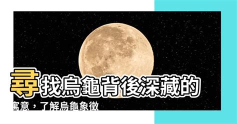 烏龜代表什麼意思